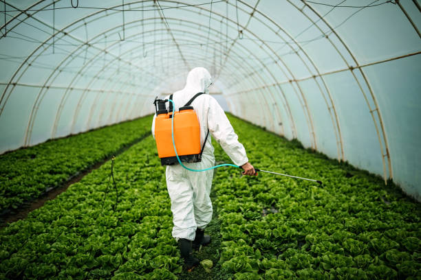 Best Best Pest Control Companies  in Tara Hills, CA