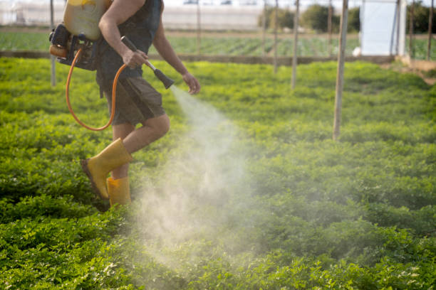 Best Pest Control Cost  in Tara Hills, CA