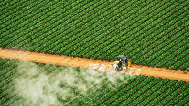 Best Exterminator Services  in Tara Hills, CA