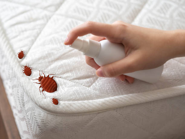 Best Residential Pest Control  in Tara Hills, CA