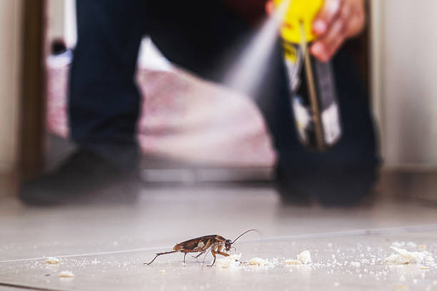 Best Pest Removal Services  in Tara Hills, CA