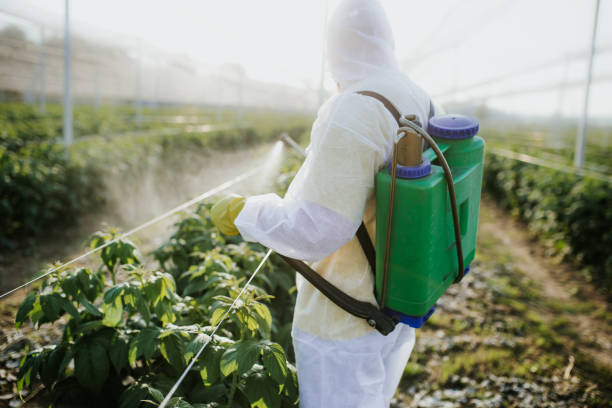 Best Pest Prevention Services  in Tara Hills, CA
